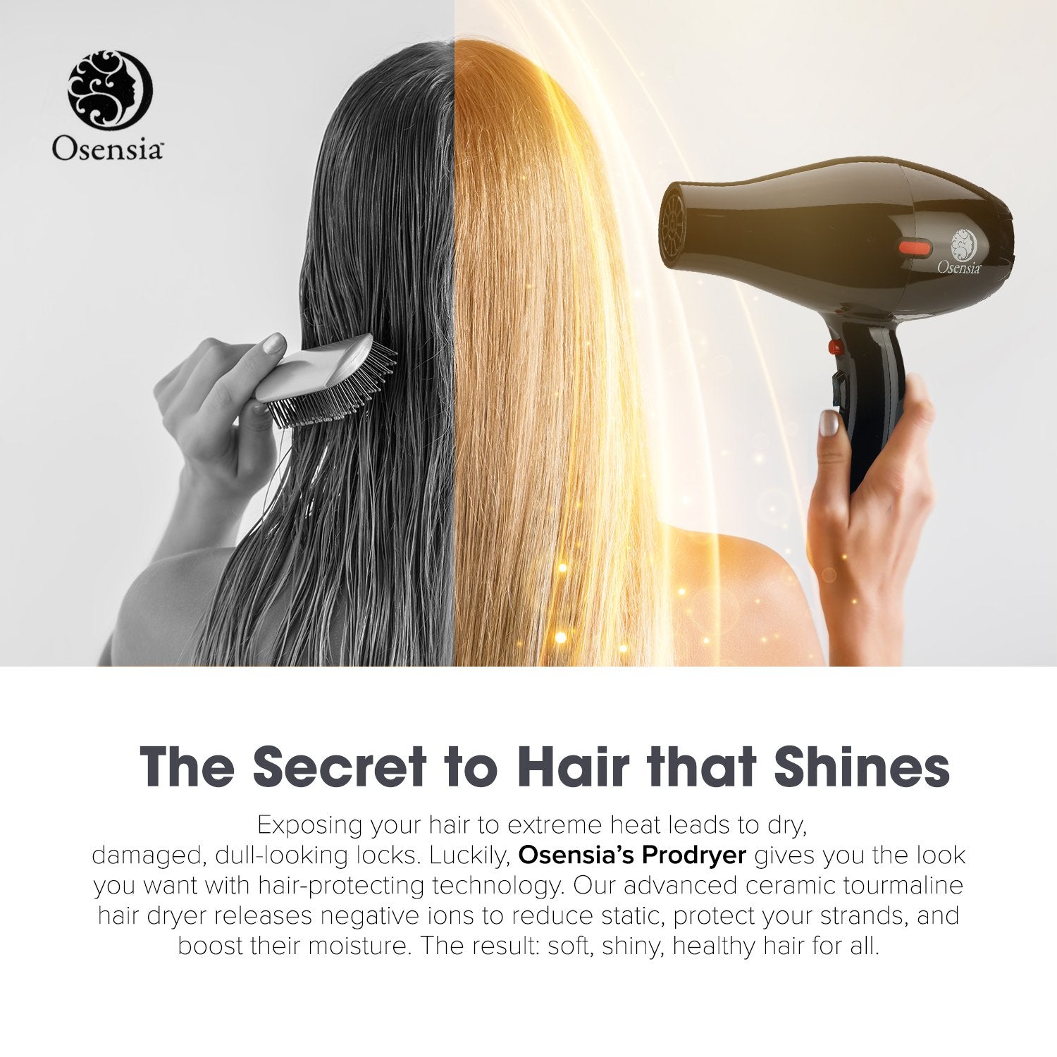 Prodryer-X Professional Hair Dryer